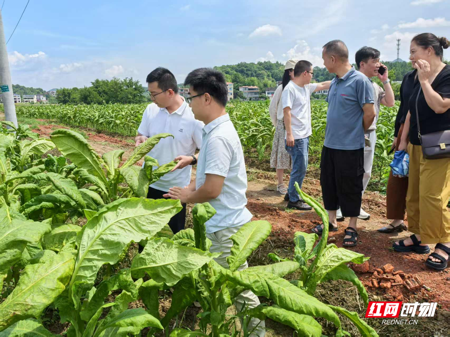 图片14.png 图片14.png