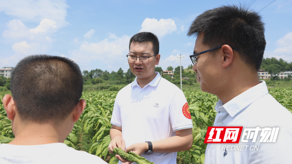 图片17.marked.png 图片17.marked.png